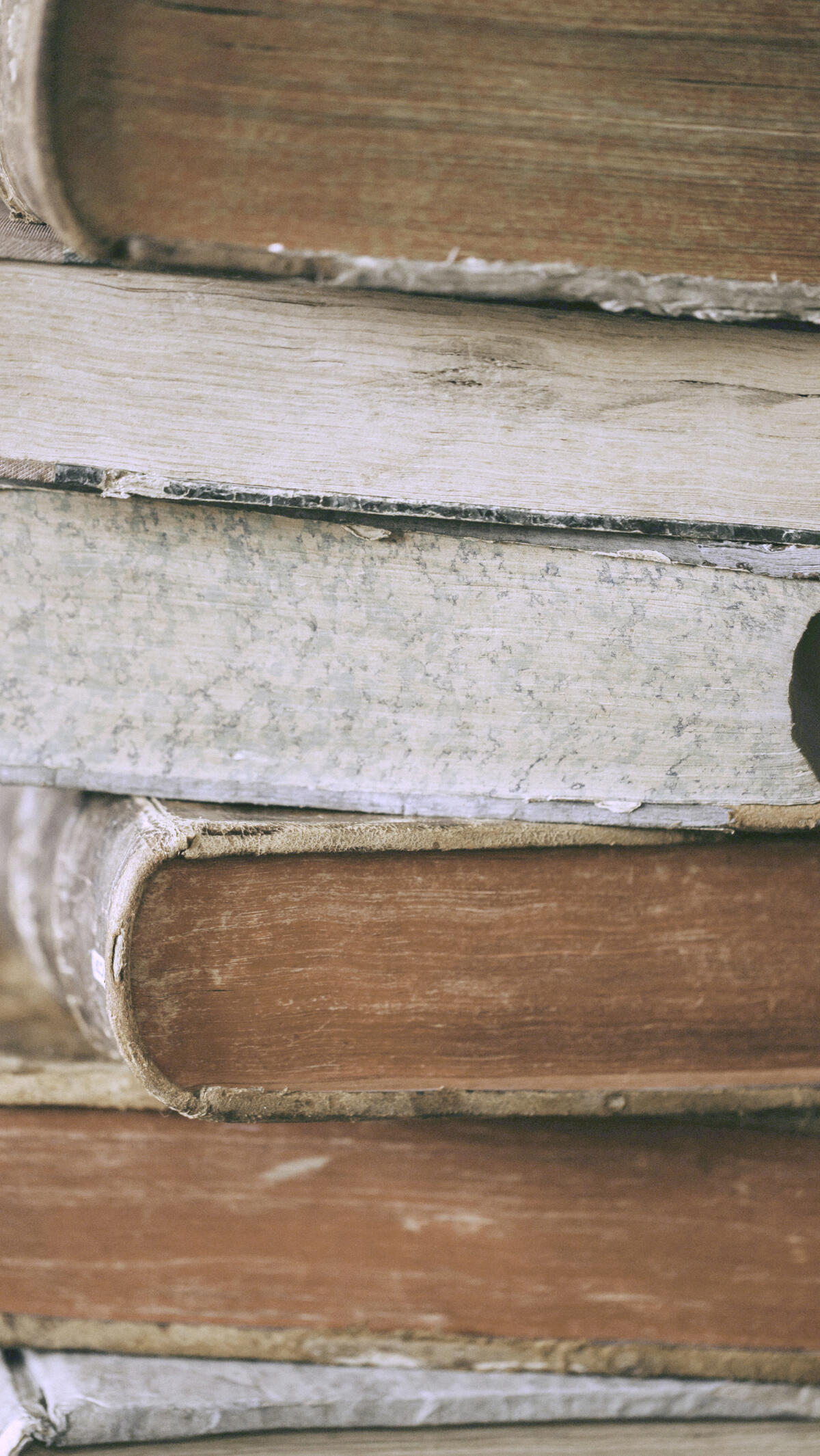 Education Fund Education Fund